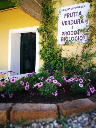 Apartment In Campiglia Marittima 30342
