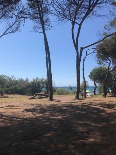 Apartment In Campiglia Marittima 30342