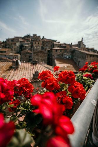 Borgo Agli Scudi B&B