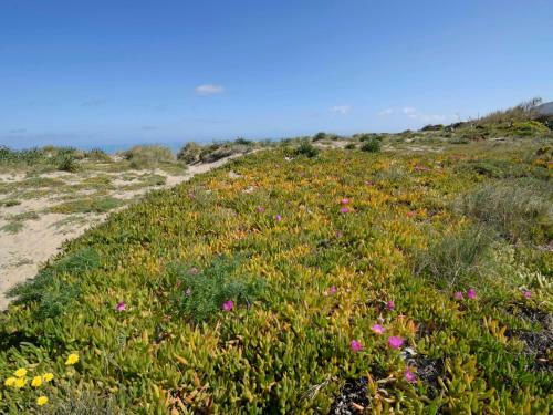 Locazione Turistica Marel�