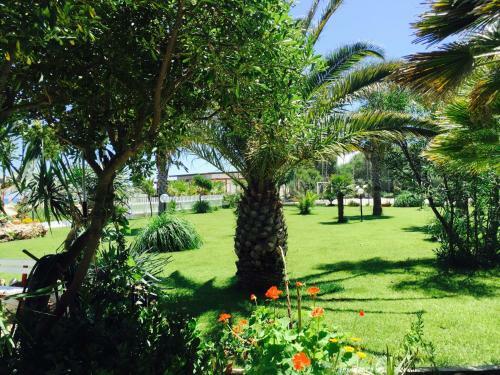 Casa Vacanze Pineta