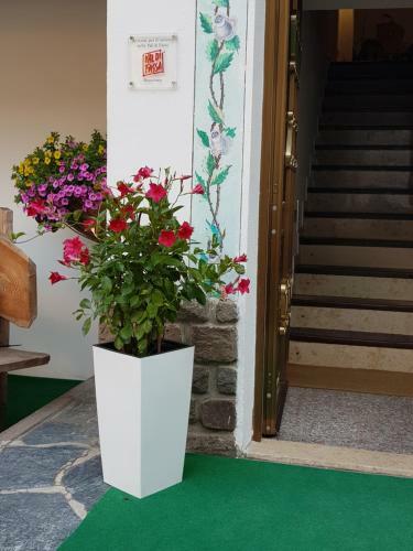 Bed & Breakfast Garni Monika