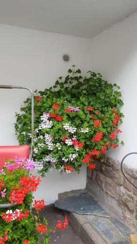 Bed & Breakfast Garni Monika