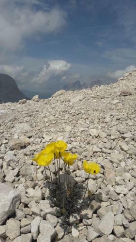 Apartamento Appartamento Dolomiti