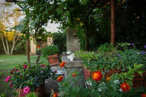 Bed & Breakfast Antica Pinciana Agriturismo