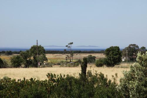 Agroturismo La Capalbiola