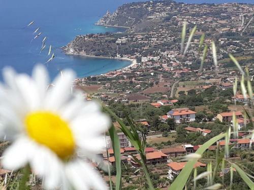 Apartamento Villettemire