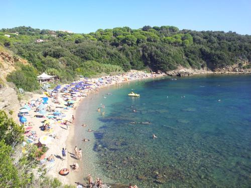 Apartamento Appartamenti Gli Alberi