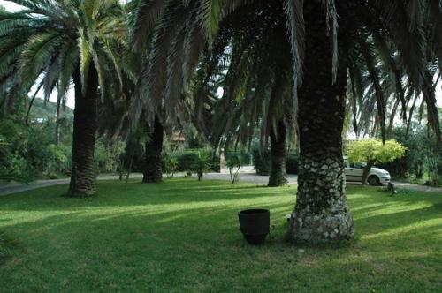 Apartamento Le Palme