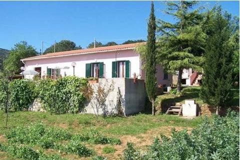 Apartamento Lentisco
