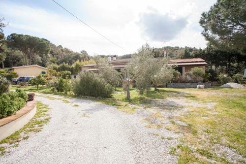 Apartamento Monolocale Elena