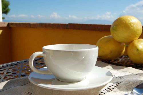 Bed & Breakfast La Terrazza Sul Mare