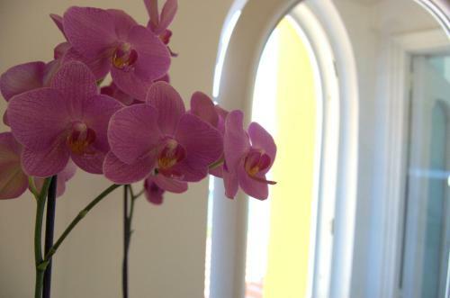 Bed & Breakfast La Terrazza Sul Mare