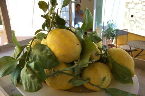 Bed & Breakfast La Terrazza Sul Mare