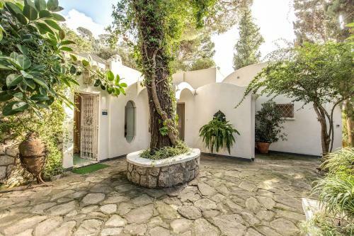 Villa Green Coral