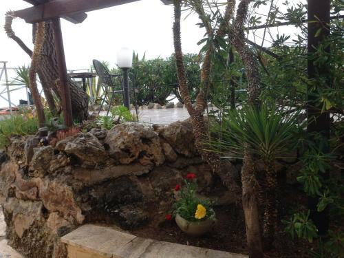 Bed & Breakfast Le Stanze Sul Mare