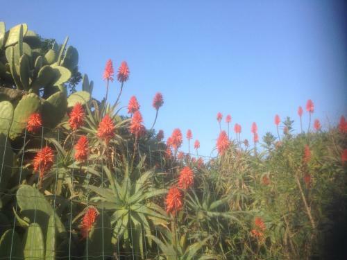 Bed & Breakfast Le Stanze Sul Mare