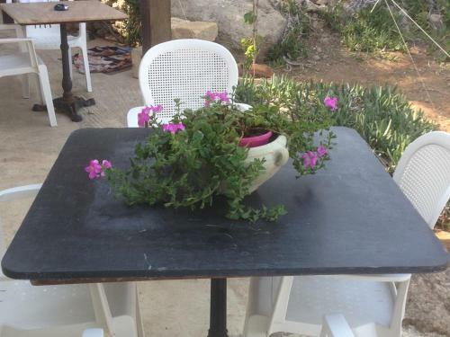 Bed & Breakfast Le Stanze Sul Mare