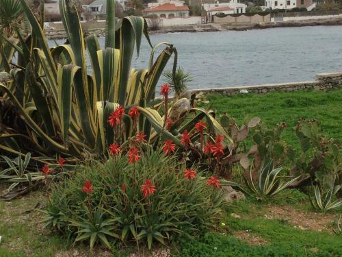 Bed & Breakfast Le Stanze Sul Mare