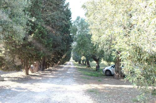 Bed & Breakfast Agriturismo De Lorenzi