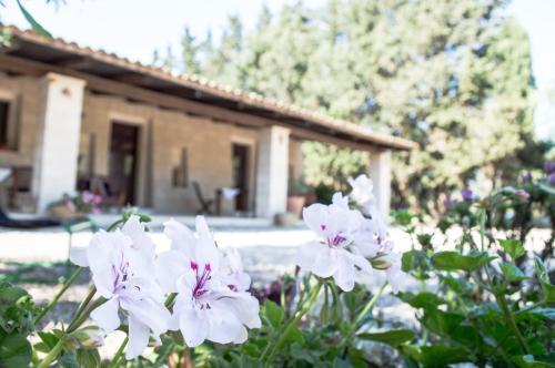 Bed & Breakfast Agriturismo De Lorenzi