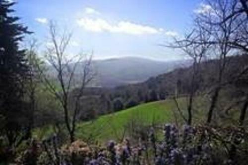 Podere Cerreto