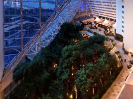 Hotel Radisson Blu Resort, Sharjah