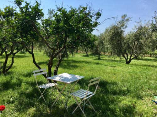 Agroturismo La Cipriana