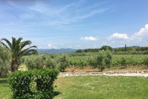 Agroturismo La Cipriana