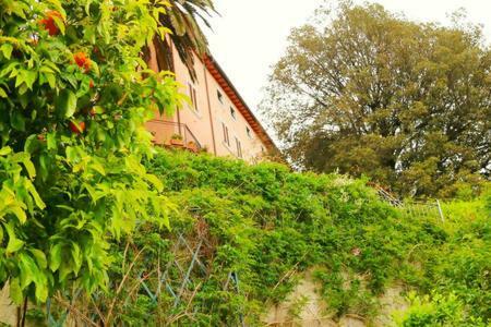 Apartamento Incantevole Appartamento Con Giardino Vista Mare