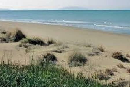 Apartamento Incantevole Appartamento Con Giardino Vista Mare