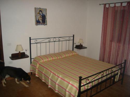 Agroturismo Agriturismo Il Vignone