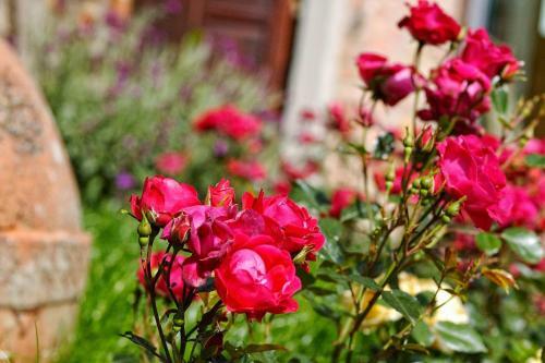 Il Castagno D'andrea Apartment Sleeps 6 Pool