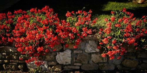 Il Castagno D'andrea Villa Sleeps 16 Pool