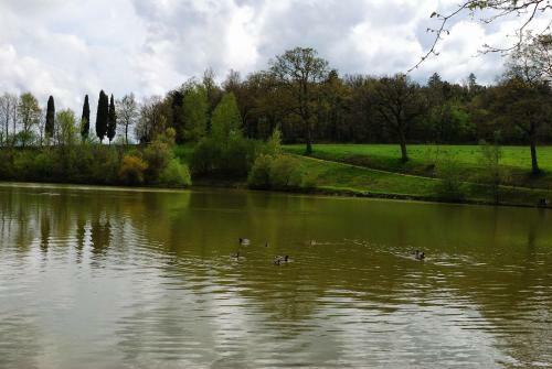 Il Castagno D'andrea Apartment Sleeps 3 Pool