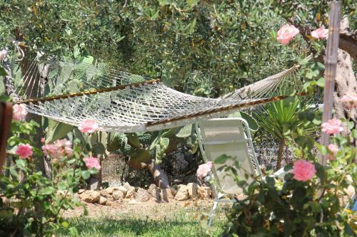 Bed & Breakfast Uliveto House