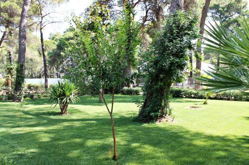 Il Melograno B&B