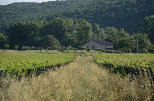 La Vecchia Stalla