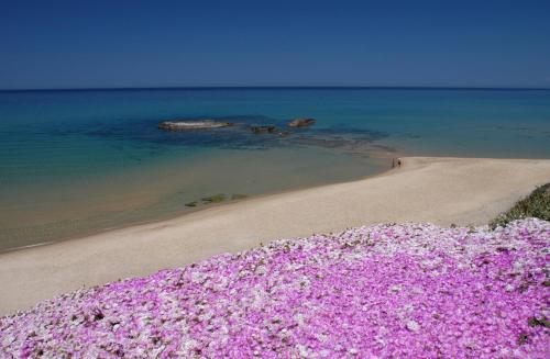 Apartamento Affittimoderni Castelsardo Lentisco