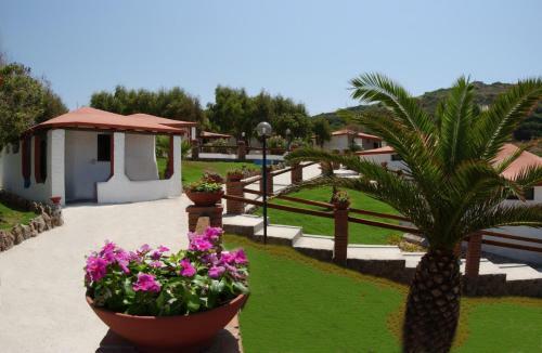 Hotel Rasciada Club