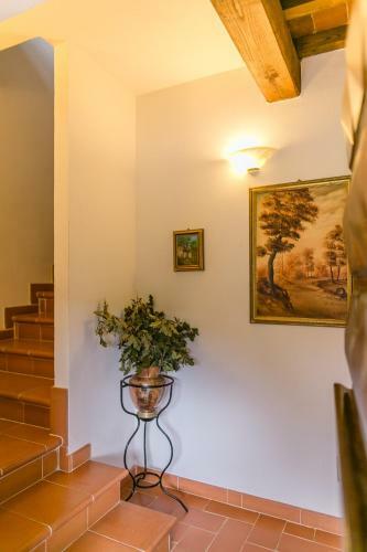 Apartamento Agriturismo Le Capanne