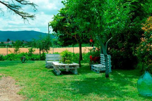 Agroturismo Podere I Gigli