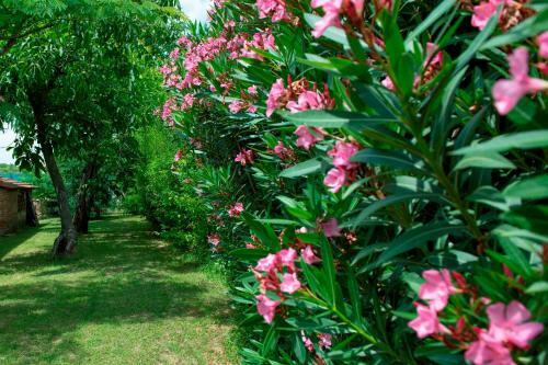 Agroturismo Podere I Gigli