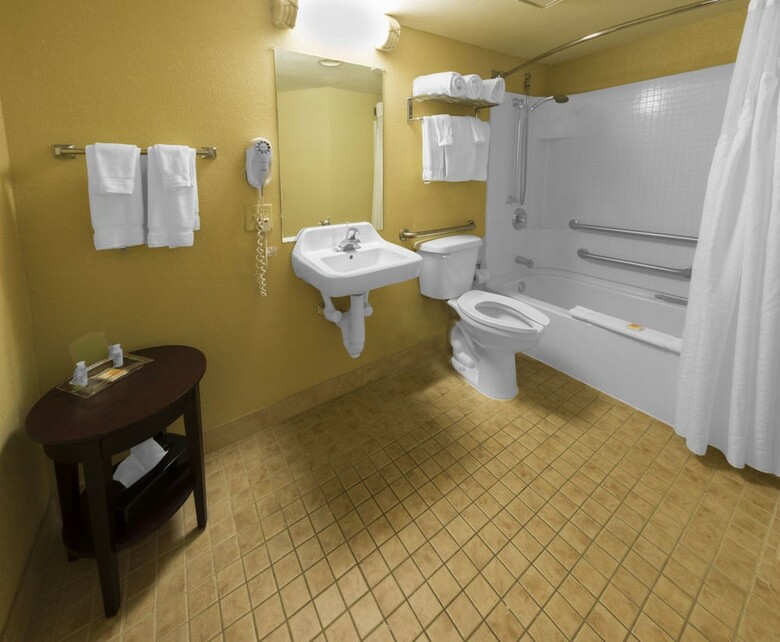 Hotel Holiday Inn Orlando Sw