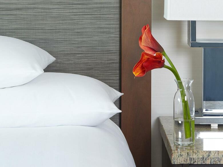 Hotel Hyatt Regency Atlanta