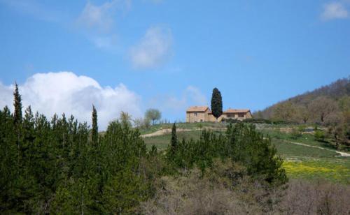 Castiglioncello Del Trinoro Villa Sleeps 12 T762720