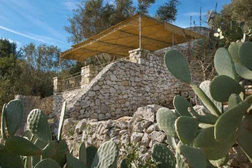 Pajara Acquaviva
