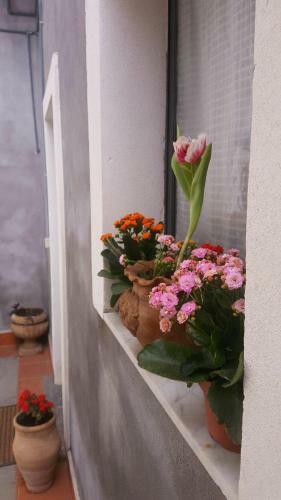 I Cappuccini B&B