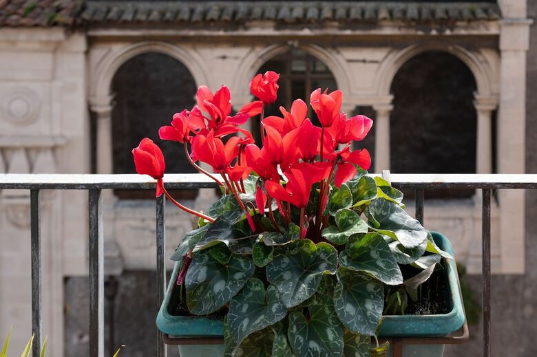 Bed & Breakfast Terrazza Santa Chiara