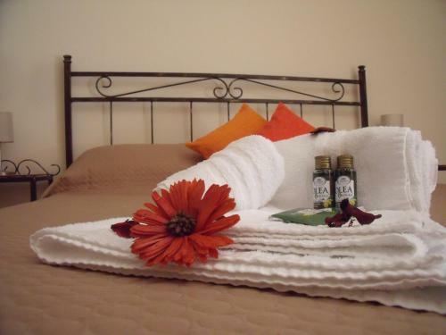 B&B Al Quadrato D'oro